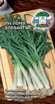 Лук порей Элефант МС (1гр)