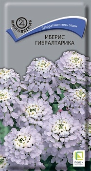 Иберис Гибралтарика (0,1гр)
