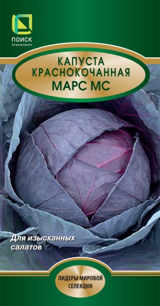 kapusta_krasnokoch_mars_mc