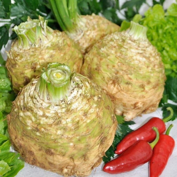 5ba1175b7ebcd0230b9c19976f8330b2 (2)