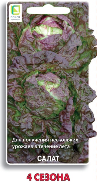 salat_4_sezona