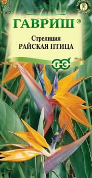 Стрелиция Райская Птица (3шт) (комнатное)