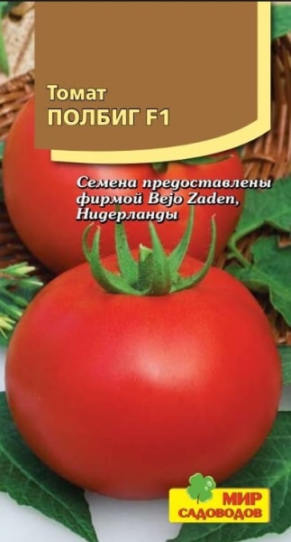 2026-02-04_06-54-01