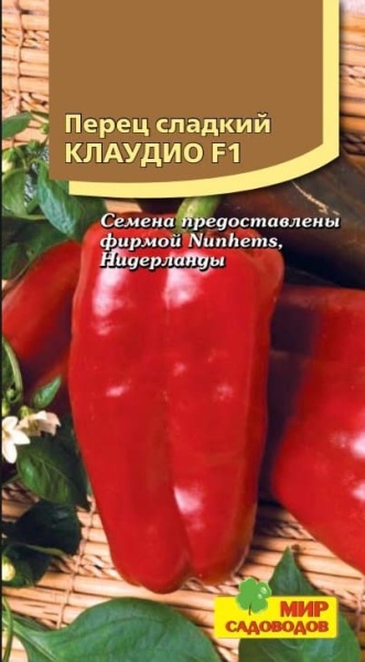 2025-10-12_09-24-25
