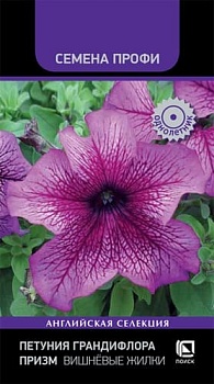 Петуния грандифлора Призм Вишневые Жилки (30шт)