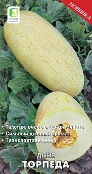 Дыня Торпеда 15шт (цвет.пакет) -  П