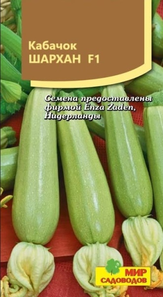 2025-10-12_10-27-29