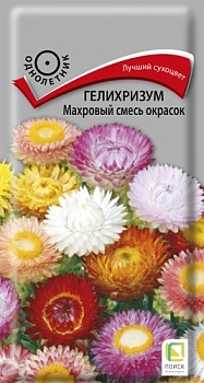 Гелихризум махровый Смесь окрасок (0,25гр)