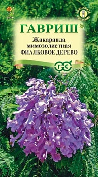 Жакаранда Фиалковое дерево (3шт)