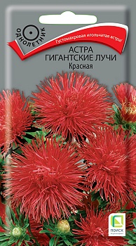 Астра Гигантские Лучи Красная (0,3гр)