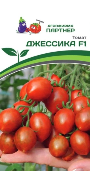 ДЖЕССИКА