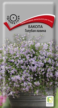 Бакопа Голубая Лавина (5шт) 