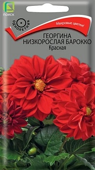 Георгина Барокко красная(0,1гр)