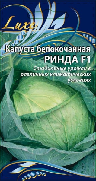 рин (1) (1)