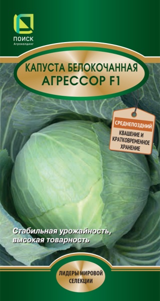 kapusta_belokoch_agressor_f1