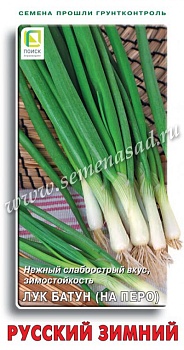 Лук батун Русский Зимний (1гр)