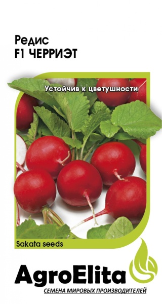 0e17febd522cd9389b04ce5c00f25aec_XL