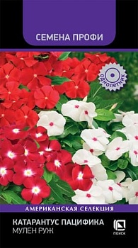 Катарантус Пацифика Мулен Руж  10 шт 