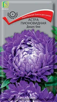 Астра пионовидная Дюшес Блю (0,3гр)