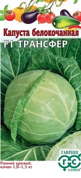 Капуста белокочанная Трансфер F1 10шт