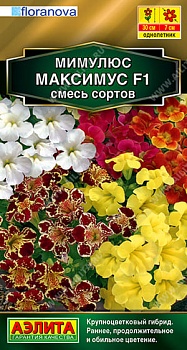 Мимулюс Максимус F1, смесь окрасок 10шт