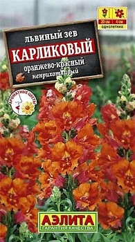 Львиный зев карликовый оранжево-красный 10шт