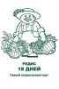 redis_18_dnei_sem_chb_paket (2) (1)