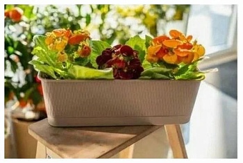 Балконный ящик с ПРОВАНС 9,5л фраппе