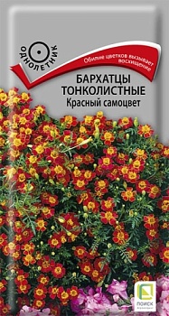 Бархатцы тонколистные Красный Самоцвет (0,1гр) 