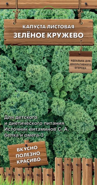 kapusta_list_zelenoe_kruzhevo