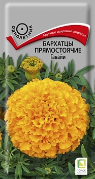 Бархатцы прямостоячие Гавайи (0,4гр)