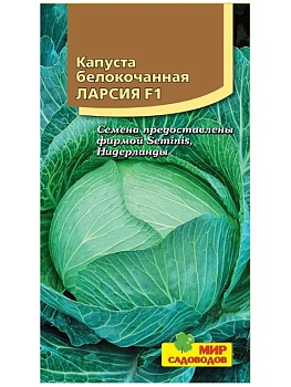 Капуста белокочанная Ларсия F1 (10шт) 