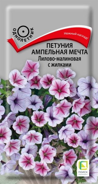 petunia_ampel_f1_shock_wave_kosmo