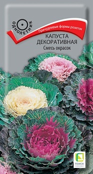 Капуста декоративная Смесь окрасок (0,25гр)