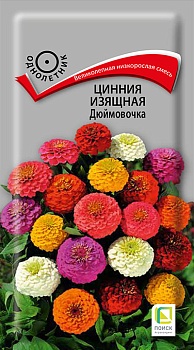 Цинния изящная Дюймовочка (0,4гр)  (однолет.) (цвет.пакет) П
