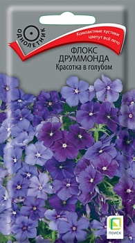 Флокс друммонда Красотка в Голубом (0,1гр)
