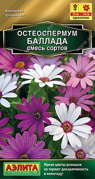 Остеоспермум Баллада, смесь сортов 10шт