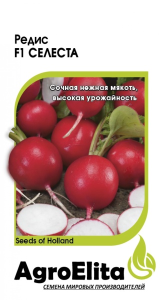 1ba6f013b03d3119f460bad3db0fbe5d_XL