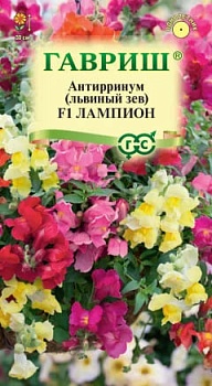 Львиный Зев Лампион 5шт ампельный!