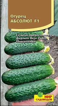 Огурец Абсолют F1 5шт