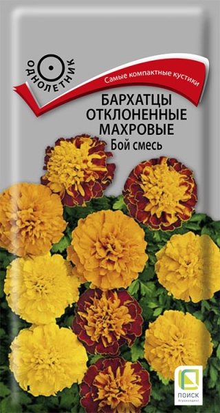 barhatsy_otklon_mahrov_boy_smes