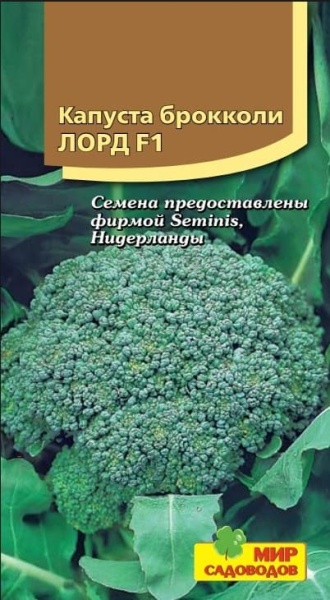 2025-10-12_10-19-18