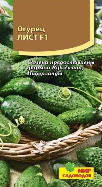 2025-10-12_09-31-41