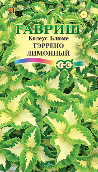 1071857913_mini4