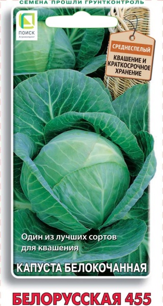 kapusta_belokoch_belorusskaya_455