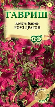 Колеус Роуз Драгон 4 шт.