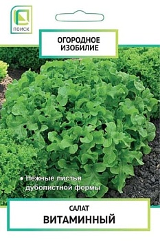 Салат Витаминный (1гр)