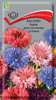 Василек Карлик Смесь пастельных оттенков (0,1гр)
