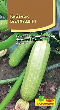 Кабачок Балхаш F1 (5шт)