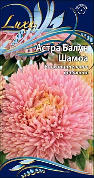 Астра Балун Шамоа 